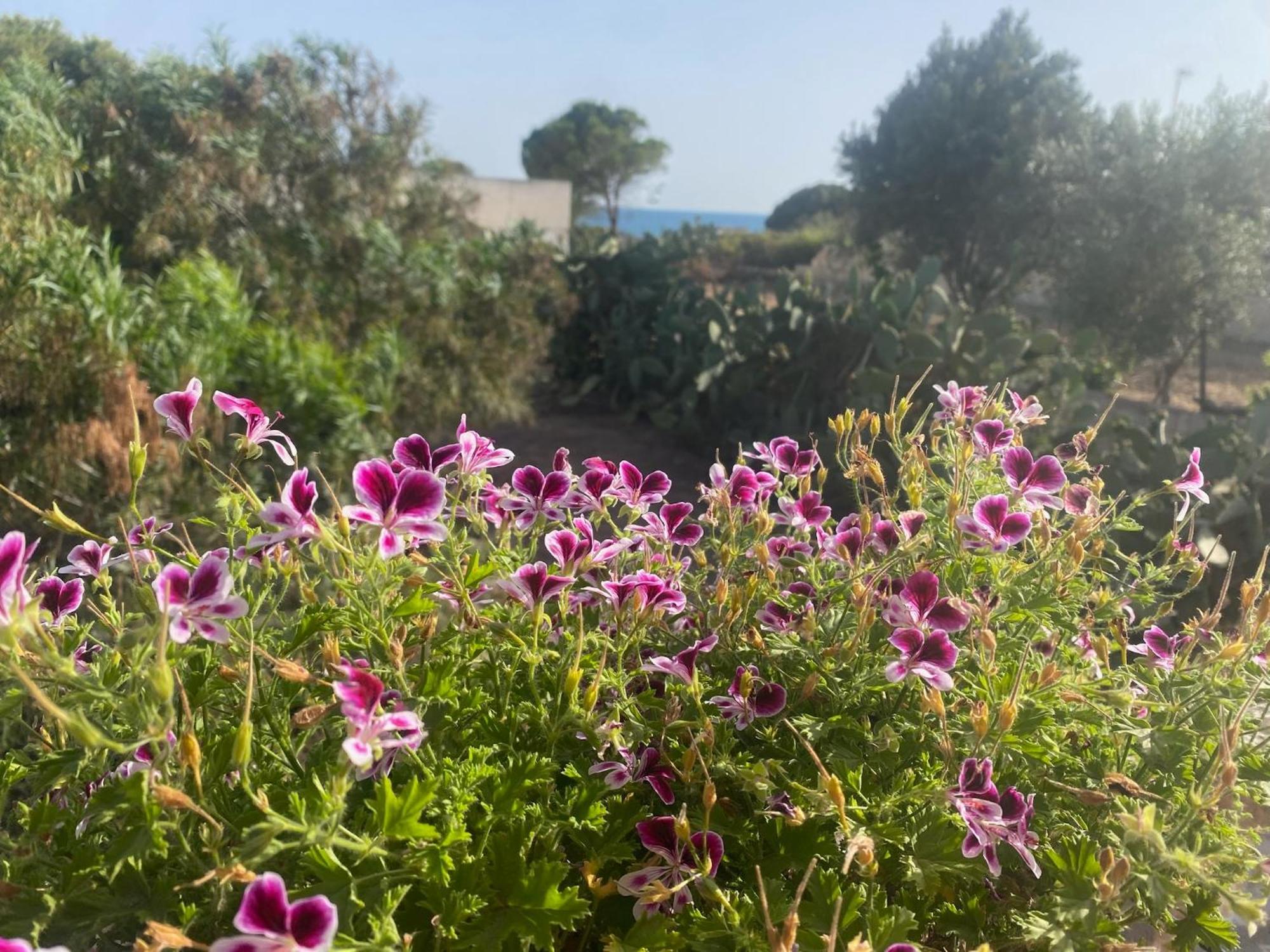 Ificumori, Campagna Ammare Villa Marina di Modica Eksteriør bilde