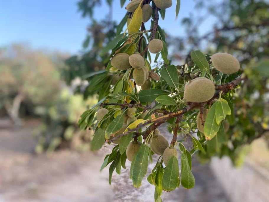 Ificumori, Campagna Ammare Villa Marina di Modica Eksteriør bilde